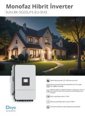 Deye 8 KW Hibrit Monofaze On Grid İnverter LV (48V)