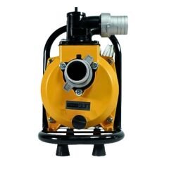 Mexxsun DC Yüzey Pompa 1.5Hp 1100W (SFP20-17-1100W/96V)