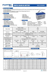 Pantec 12 Volt 100 Amper Jel Akü